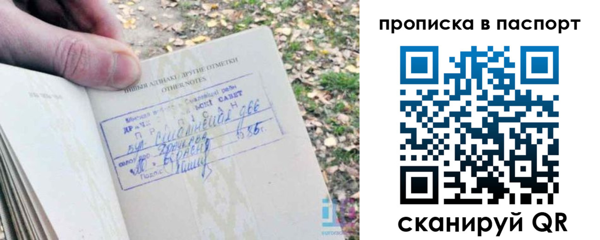 временная регистрация собственник в Лыткарино